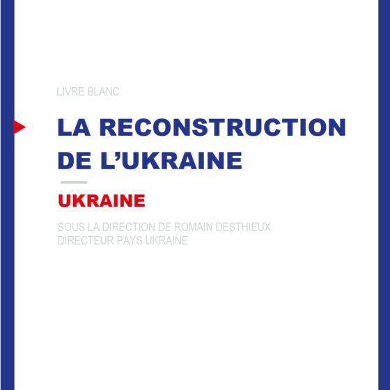 Livre Blanc Ukraine